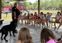 532211536_765007502889398_3717583631333762838_n